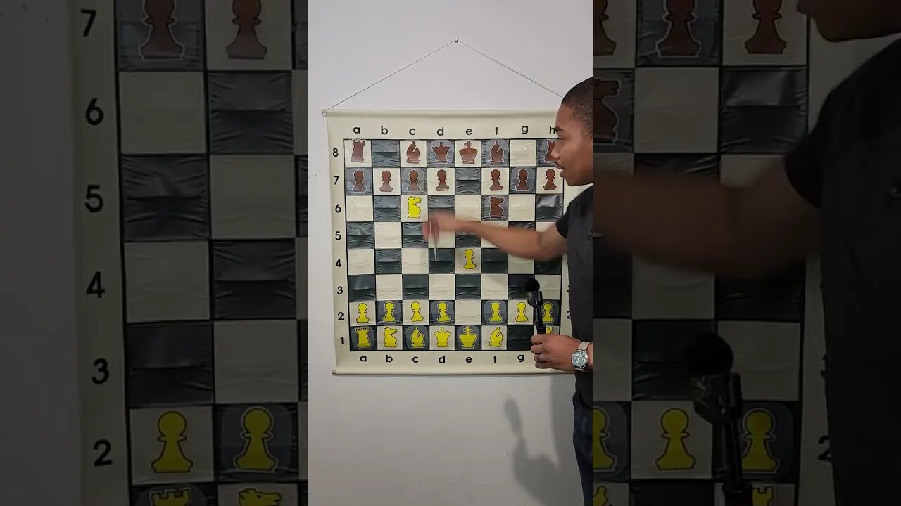 What is the Stafford Gambit in Chess?