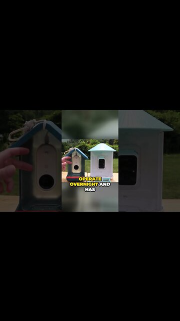 Smart bird feeders revolutionize bird tracking with advanced features