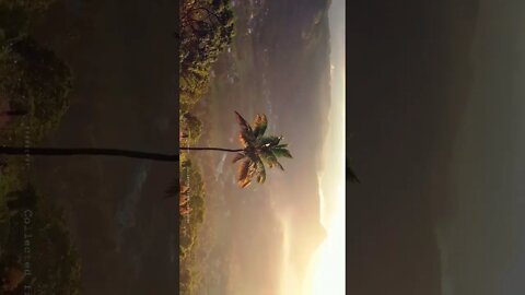 Nature View...