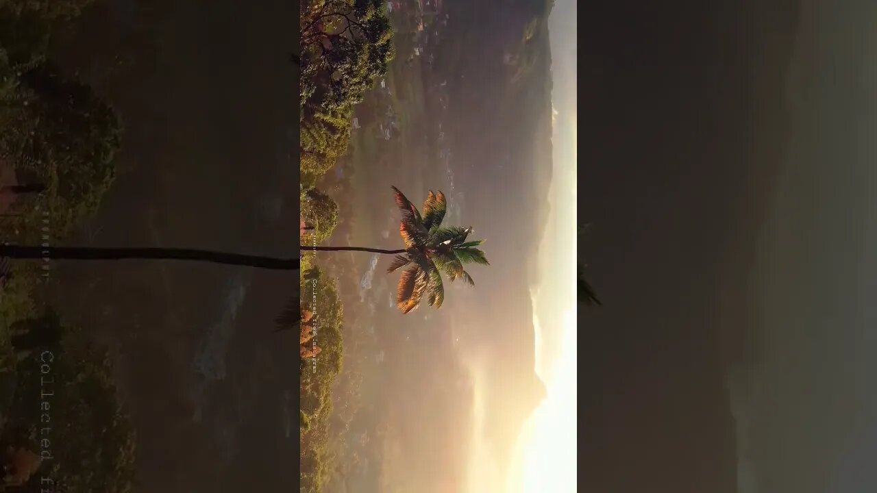 Nature View...