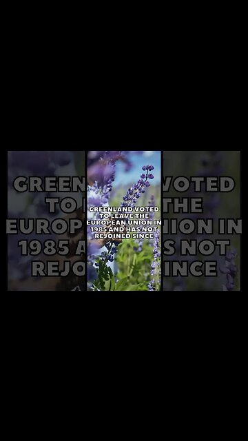 Incredible Random Facts That Will Expand Your Mind! [2023] #shorts #facts #viralshorts #fyp #life