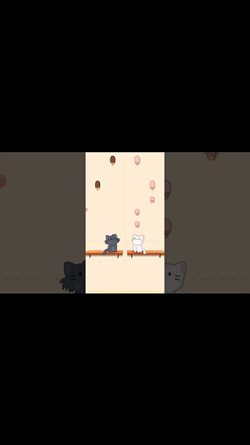 2 cats singing wake me up part 1 #shorts #music #song