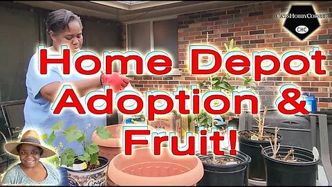 #homedepot #adoption & #fruits - #catshobbycorner