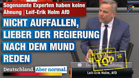 Sogenannte Experten haben keine Ahnung Leif-Erik Holm AfD