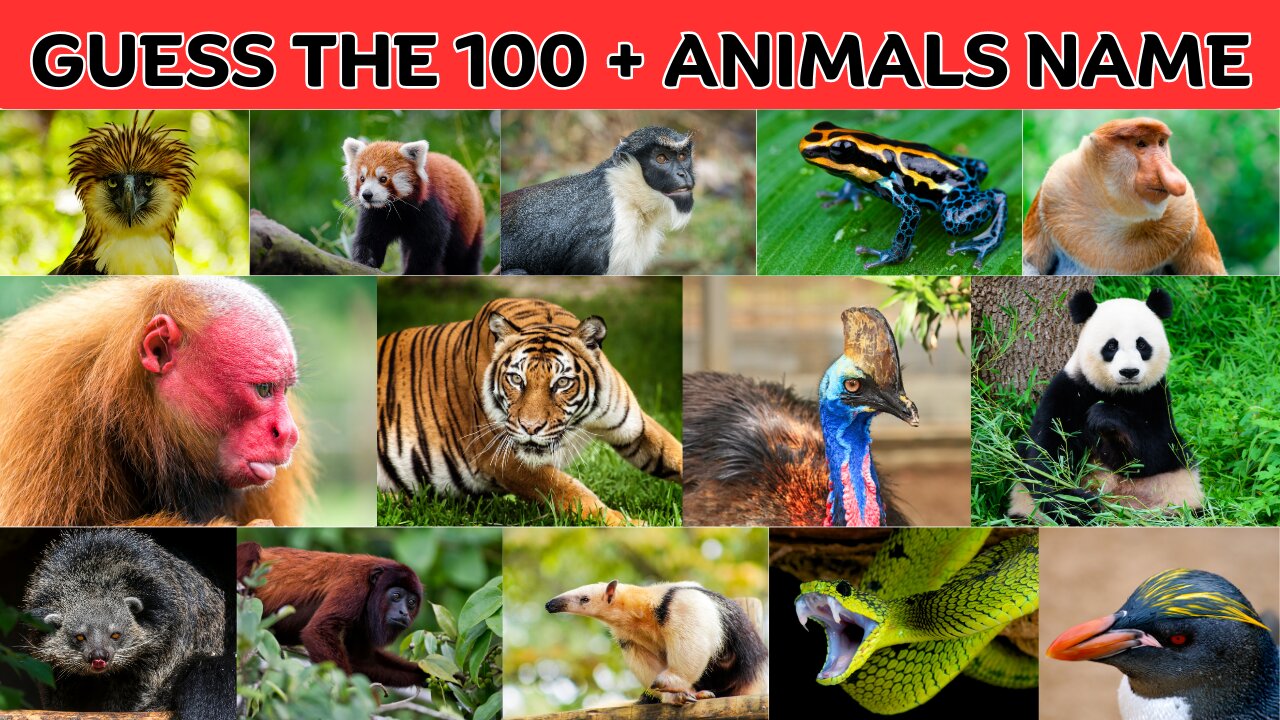 Guess 100 Plus Animals Name | Top 100 Animal List | Guess Animal Quiz | Kuiz Quizzo