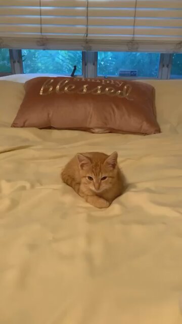 I just can’t wait to be king