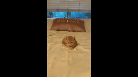 I just can’t wait to be king