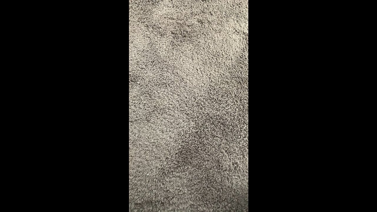 B66