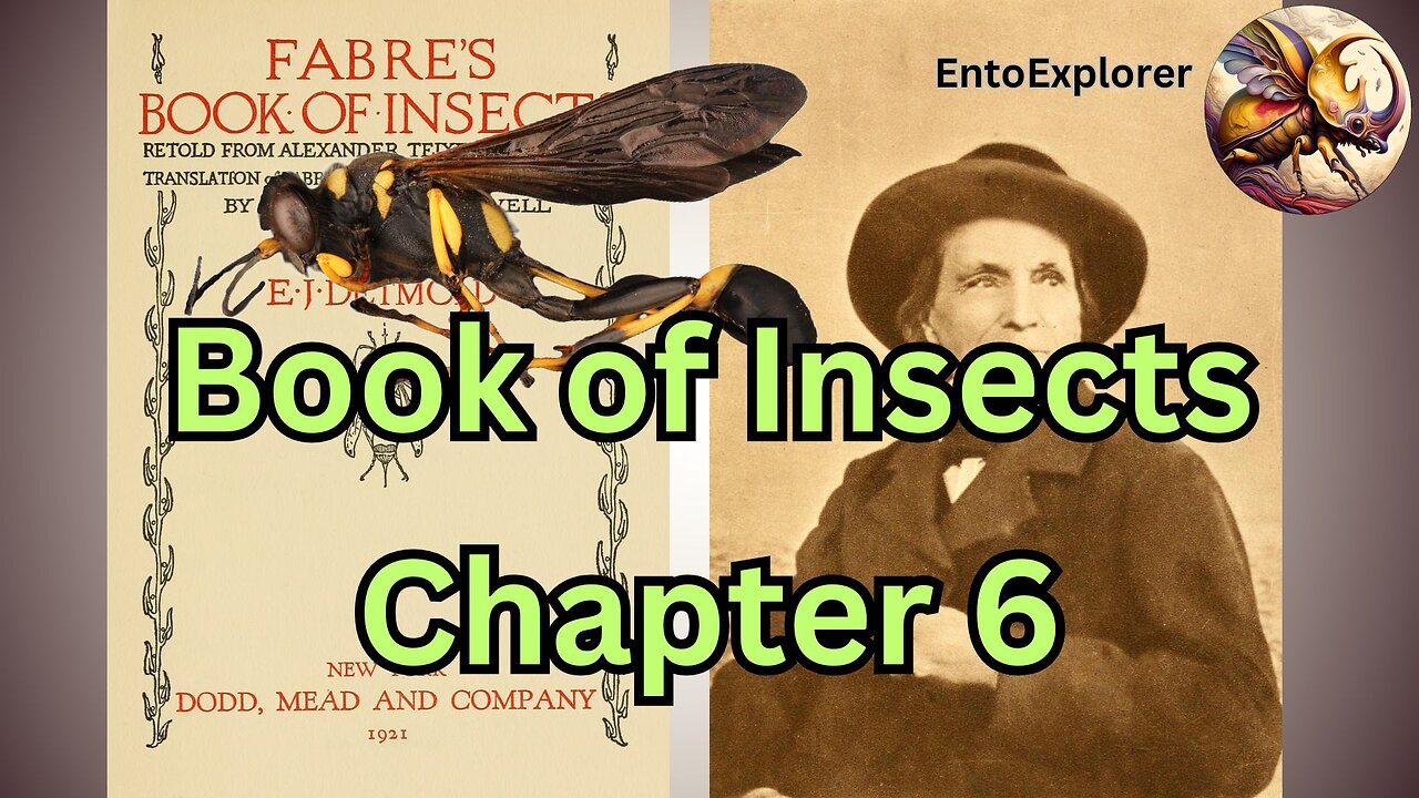 The Life of a Mason Wasp - Book of Insects - Chapter 6 - By Jean-Henri Fabre