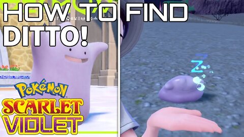 How to Find Ditto in Pokemon Scarlet and Violet (Ditto's Location)