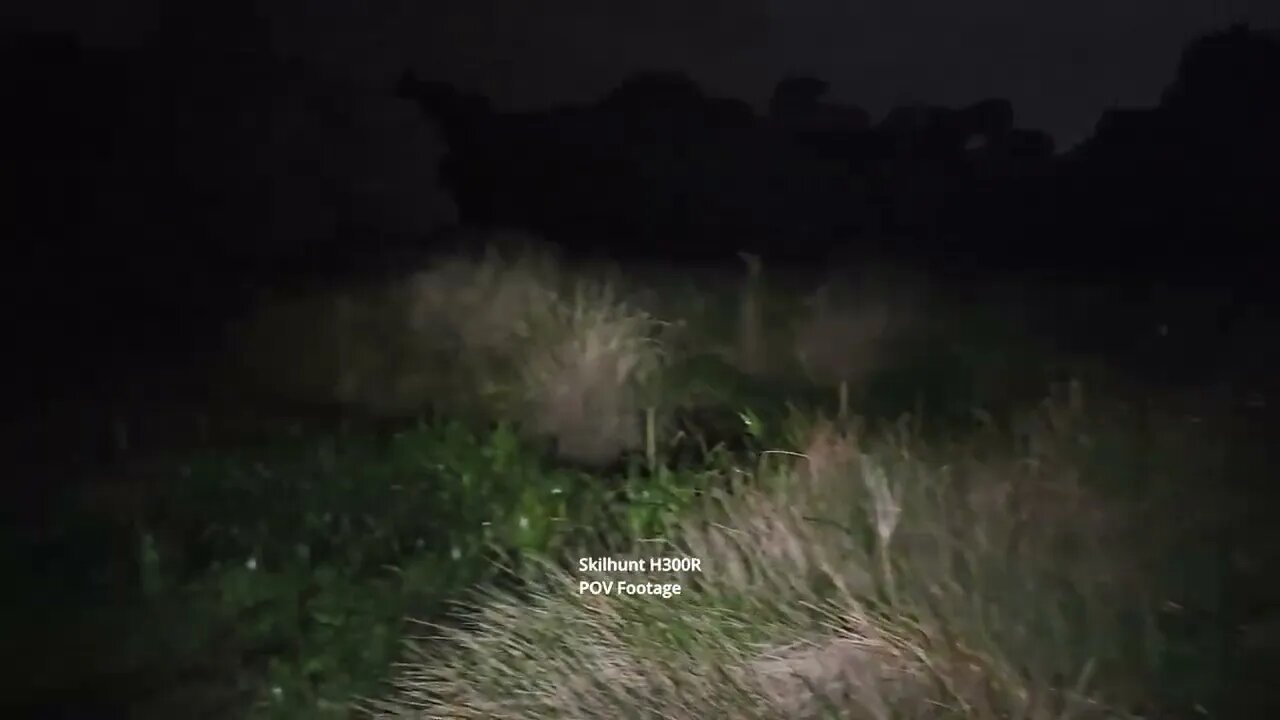 Skilhunt H300R: 20m beamshot test in nature