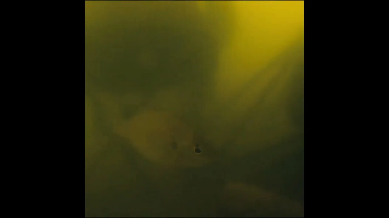 its about 15 feet deep under the dock