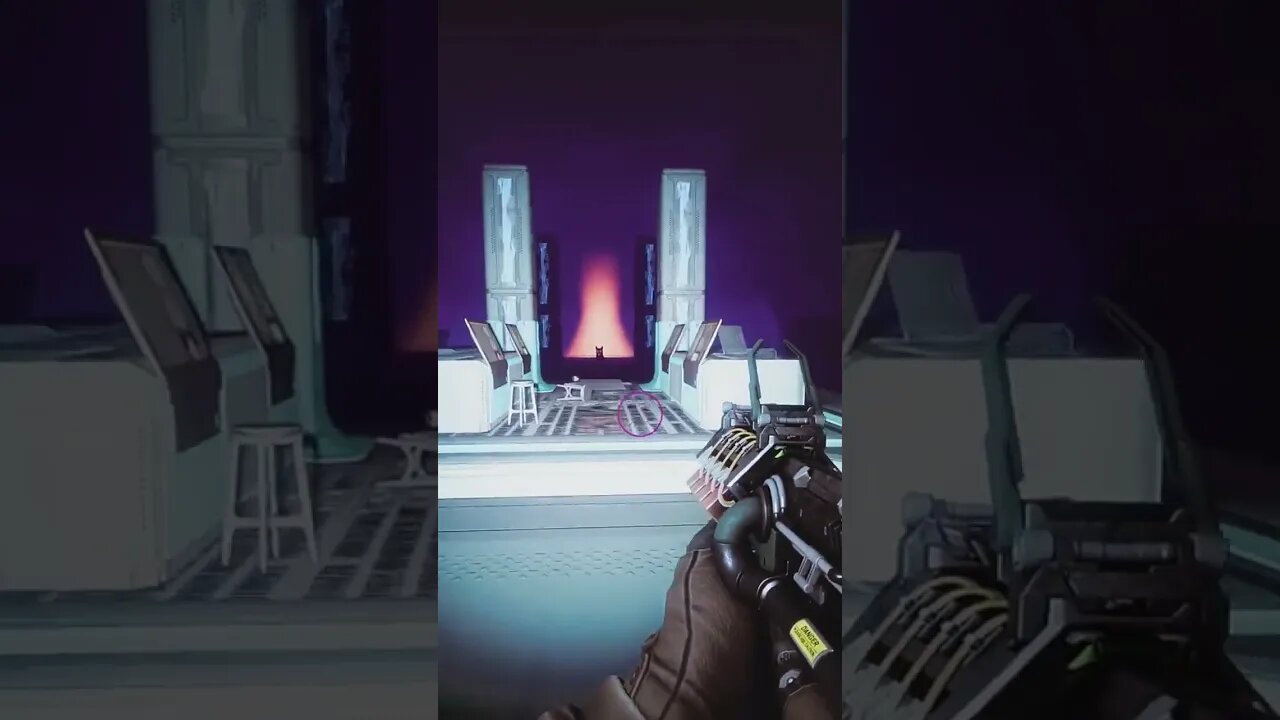 Destiny 2 - I shall name her Dogniss Everdeen.