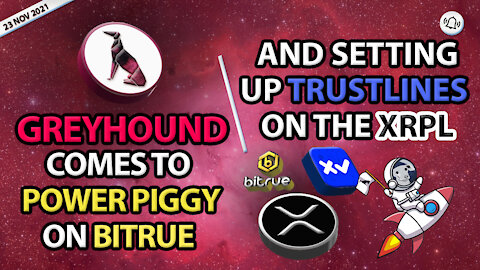 GREYHOUND COMES TO POWER PIGGY ON BITRUE AND SETTING UP TRUSTLINES ON THE XRPL
