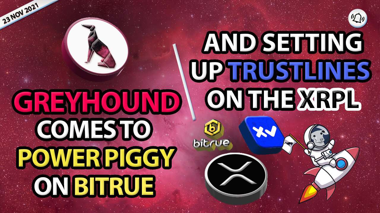 GREYHOUND COMES TO POWER PIGGY ON BITRUE AND SETTING UP TRUSTLINES ON THE XRPL
