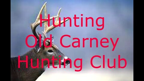 Does Galore while hunting Old Carney Hunting Club