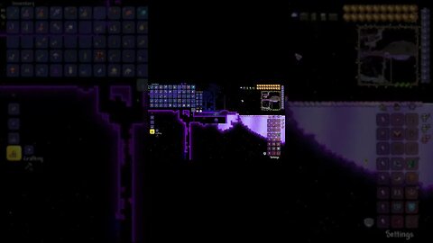 Life Fruit Defense! ~ Terraria #shorts #subscribe