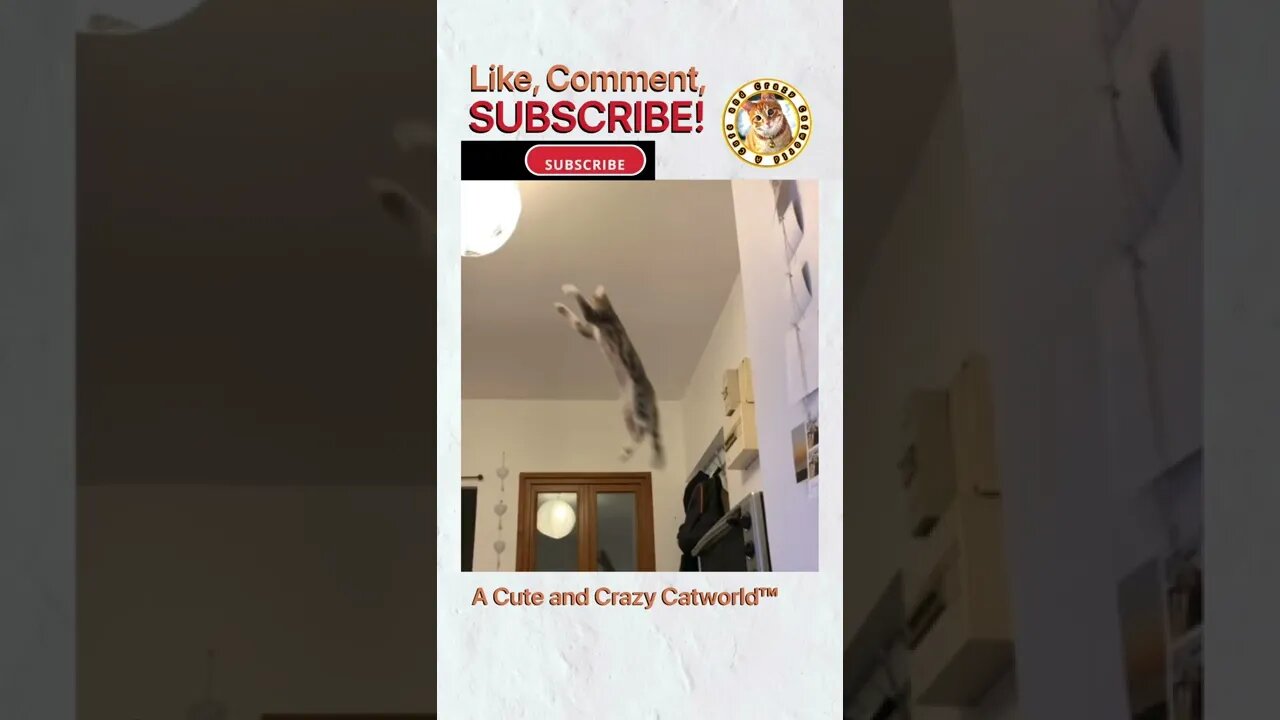 Cat Tried to Channel #Tarzan, and It DID NOT End Well 🦍😹 #Shorts