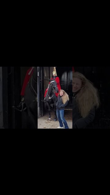 Warning horses may kick or bite oops #horseguardsparade