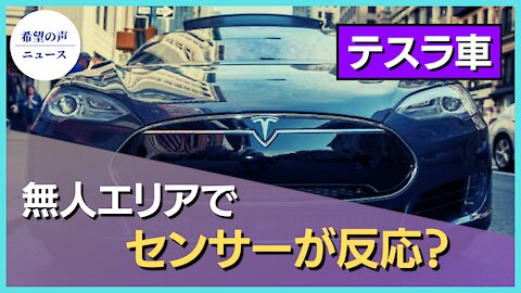 テスラ車、無人エリアで歩行者感知？【希望の声ニュース/hope news】