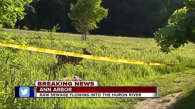 300,000 gallons of raw sewage spilling near Huron River has many concerned