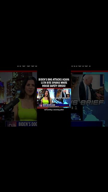 Biden's dog, Commander, bites again, marking 11th attack on staff
