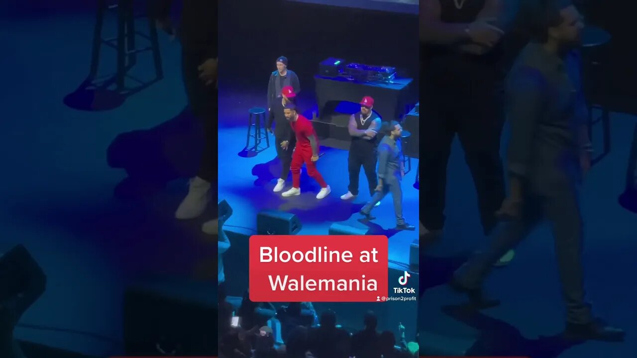 Bloodline at Walemania