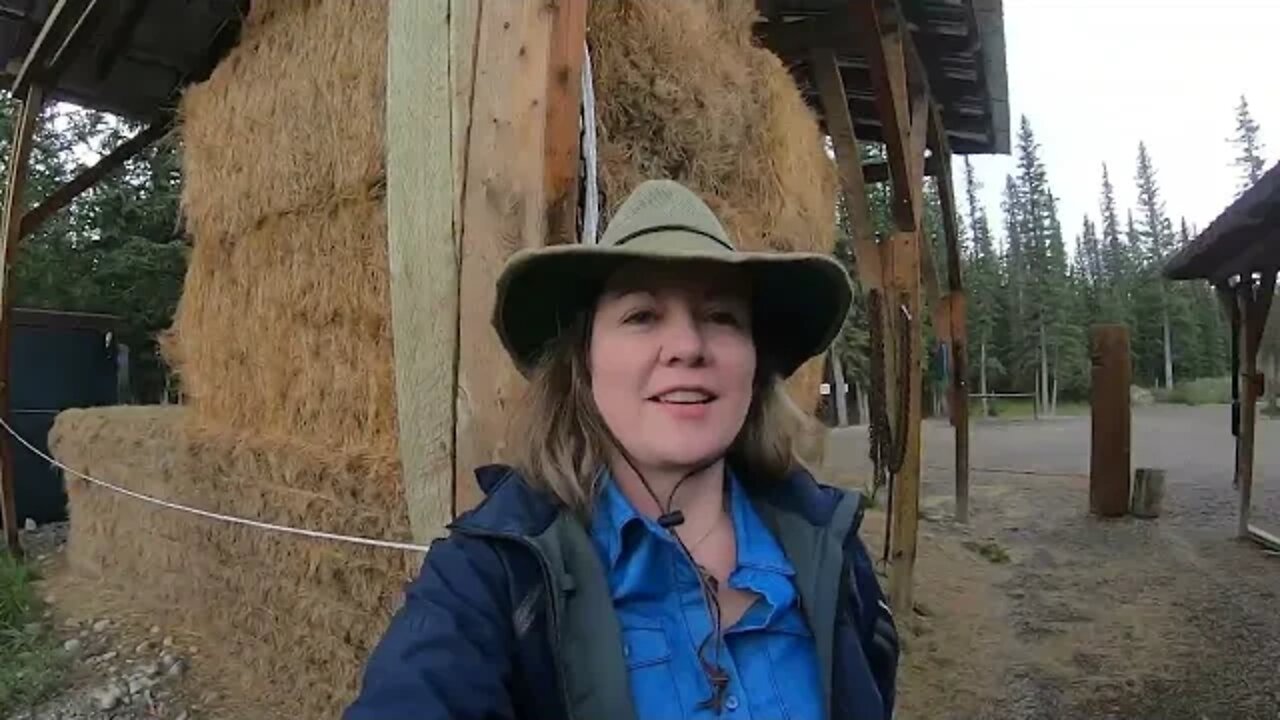 Guided Horseback Camping Trip to an outfitters camp on the Panther River in Alberta