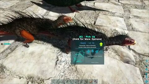 Ark: Survival Evolved The Island Ep 3