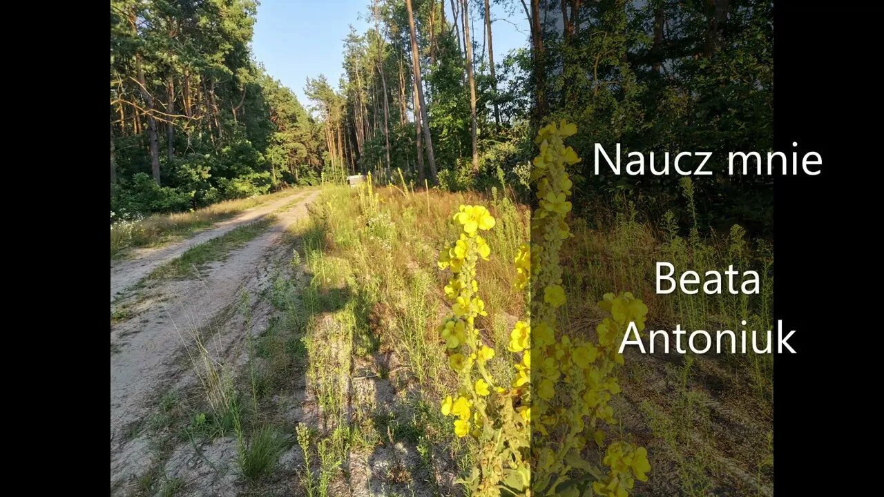Naucz mnie Beata Antoniuk