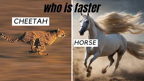 Cheetah vs Horse who is the fastest | cheetah vs horse race