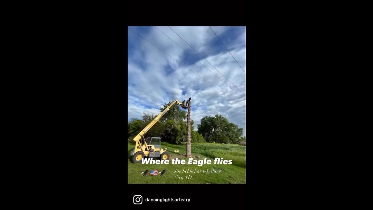 Where the Eagle flies🦅🇺🇸🦅