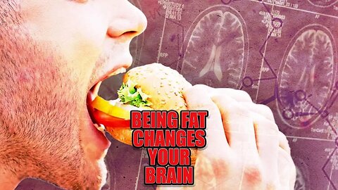 Being Obese Changes Your Brain In Many Ways! None Of Them Good