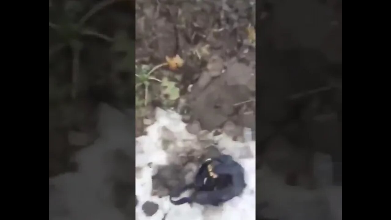 ★★★ Another Abandoned Russian Tank