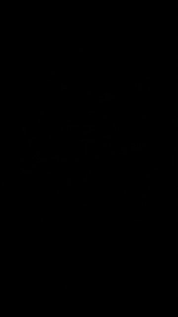 Christian white nationalist