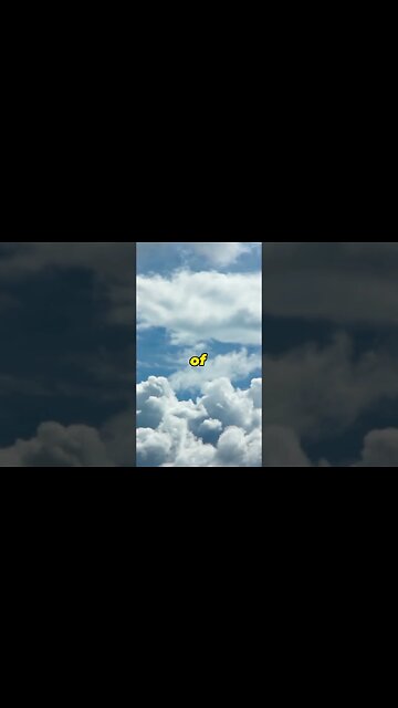 Dog sized Ants #whatif #ants #trendingshorts