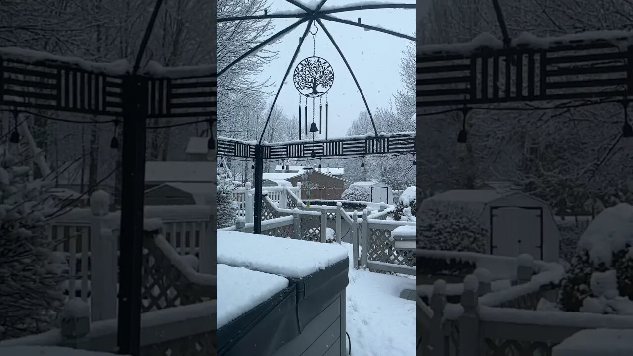 Let it snow let it snow let it snow ⛄️!!! #shorts #slowmotion #snow