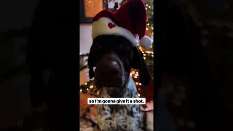 Viral Video Fame