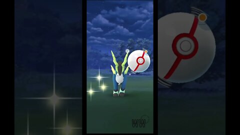 *SHINY* Cobalion Caught During Festival of Lights Event | Pokemon GO! 11/10/21 #shorts