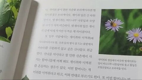 우리산 우리산나물, 오현식, 개미취, 뿌리잎자루, 솜털, 곤충, 산기슭, 화단, 수목원,고비, 고사리,생잎, 금낭화, 곤드레, 곤달비, 고추나무, 누룩치, 눈개승마, 다래, 단풍취