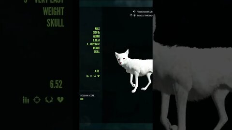 ALBINO ⚪ Red Fox 🦊 from the Bridge w/New 243 Handgun - theHunter: Call of the Wild #shorts