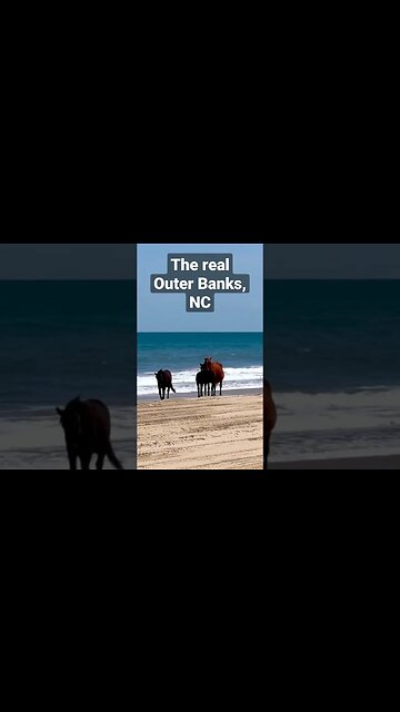 The Real Outer Banks, North Carolina. Got a new baby out and about!