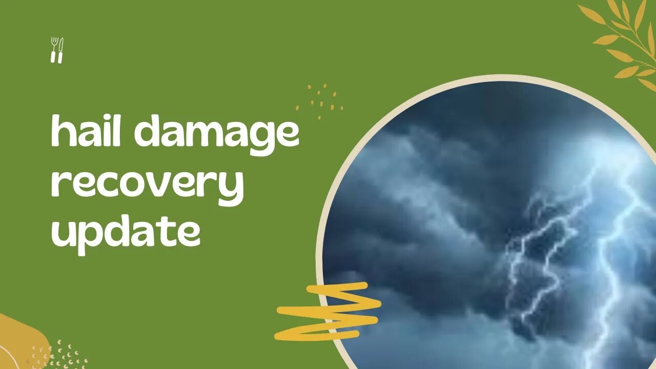 July 30, 2022 hail recovery