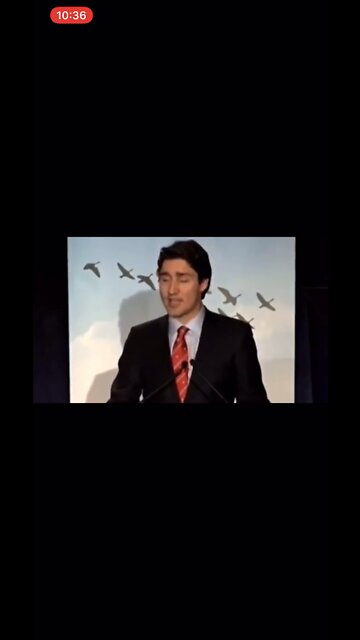 What a psychopath looks like when telling the truth