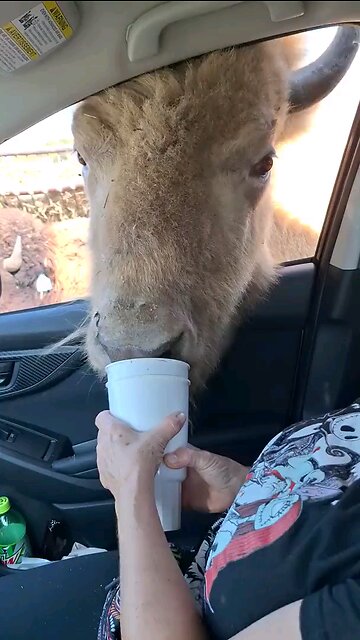 When your friend asks for a bite of food