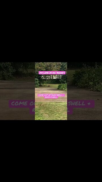 THE CHILDREN OF THE FOREST HAVE COME OUT TO PLAY