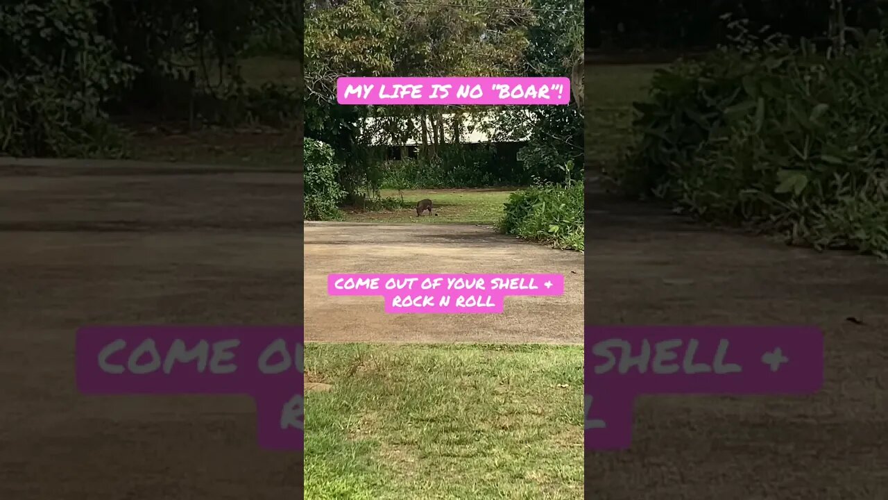 THE CHILDREN OF THE FOREST HAVE COME OUT TO PLAY