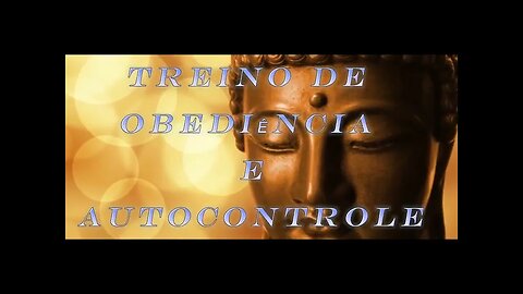 B & E TREINO DE OBEDIÊNCIA COM BOLINHA