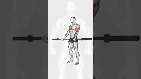 Top 3 best exercises for biceps training