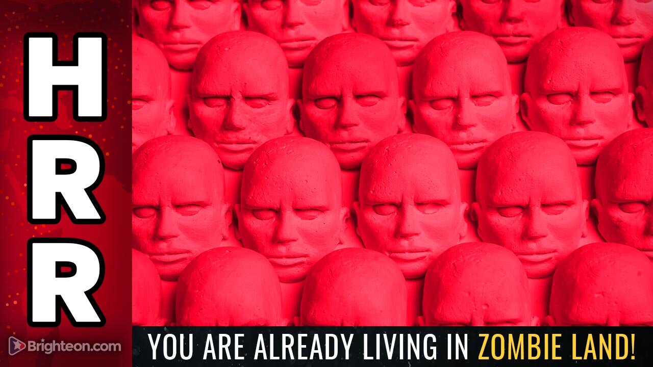 You are already living in ZOMBIE LAND!